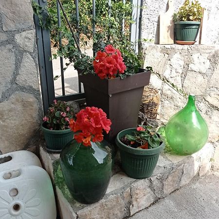 Apartments Nino Skadar Lake Virpazar Εξωτερικό φωτογραφία