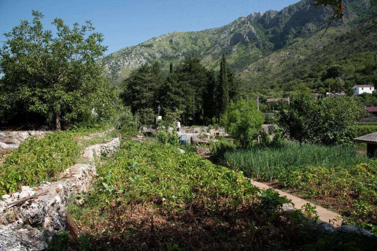 Apartments Nino Skadar Lake Virpazar Εξωτερικό φωτογραφία