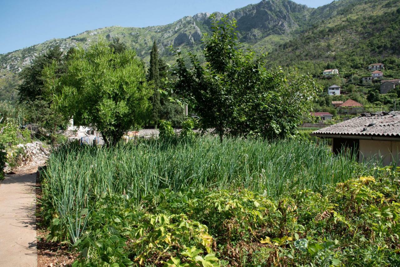 Apartments Nino Skadar Lake Virpazar Εξωτερικό φωτογραφία